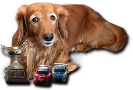 RSAPOランちゃん